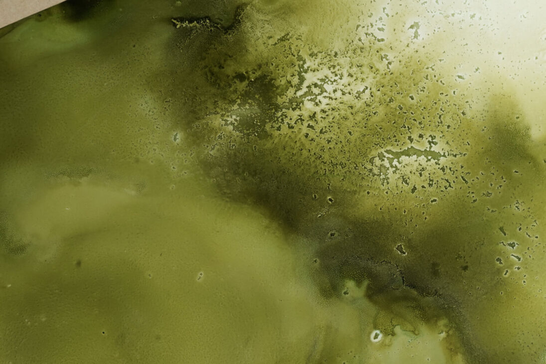 Apstraktna umetnost alkoholnim mastilima Mushi-dokugo 無師独悟 Abstract Fine Art